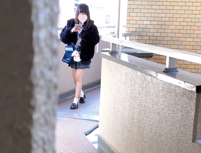 12｜Pcolle（ピーコレ）を楽しむ