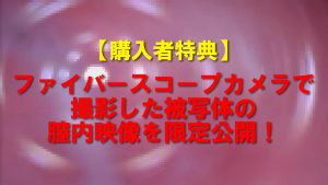 《特典有》【電車痴漢】★150人超え記念特価★ギャルに見えて慶○大を目指す秀才JKがまさか自らトイレオナ★最後は中出し懇願！